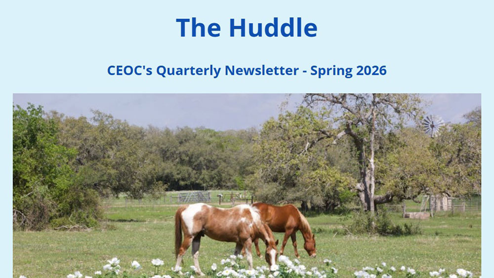 Huddle-Mar-2026